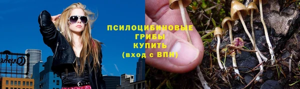 a pvp Надым