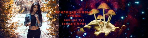 a pvp Надым