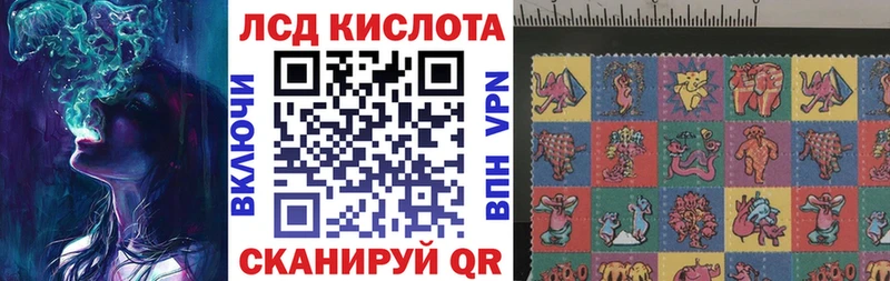 Наркотические марки 1,8мг где купить наркоту Суздаль