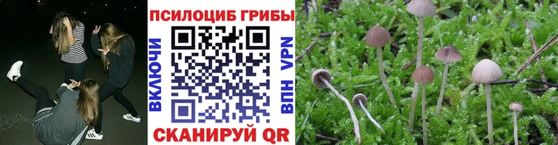 Псилоцибиновые грибы Magic Shrooms  цена наркотик  mega ONION  Суздаль 